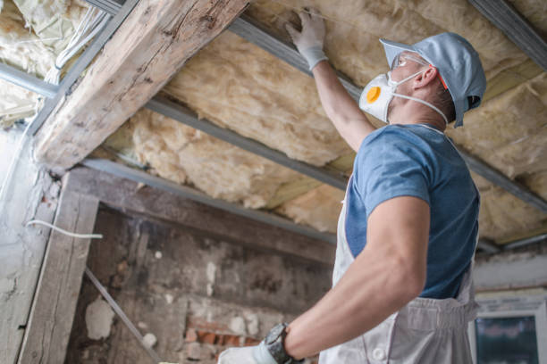 Best Spray Foam Insulation  in Taylors Falls, MN